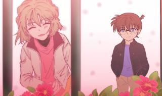 江户川柯南和灰原哀